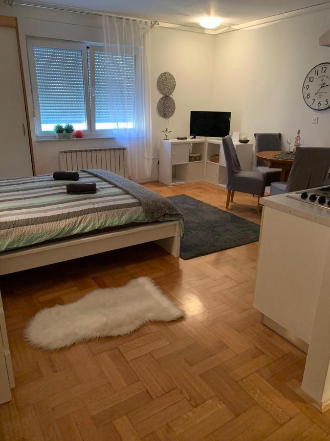 Sarmantni Apartman Malecka 2 زغرب المظهر الخارجي الصورة